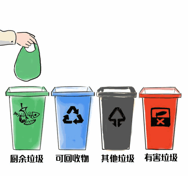 5.gif