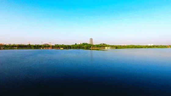 5.gif